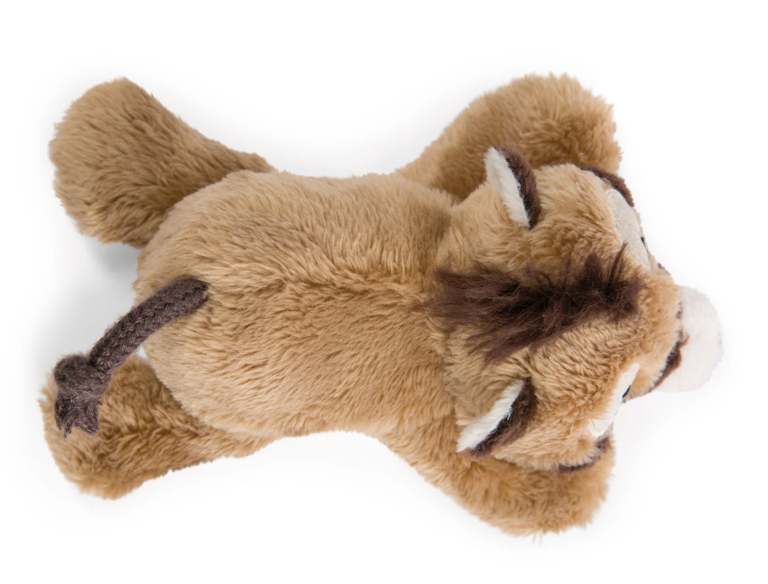 Nici 47956 MagNICI Nasenbär Coaty 12cm Magnetfigur Plüsch Wild Friends GREEN 2 Nici 47956 MagNICI Nasenbär Coaty 12cm Magnetfigur Plüsch Wild Friends GREEN – Bild 2