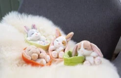 Nici 48708 Sleeping Pets Bunnies Hase Karamell 12cm Schlafend Im Körbchen Peach -Nici Welt Verkauf 48706 10 48707 48708 48709 Milieu 2048x1318